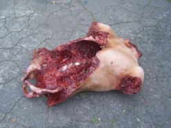 Dapper Cadaver Workshop New Haunt Props Deluxe Gore Torso