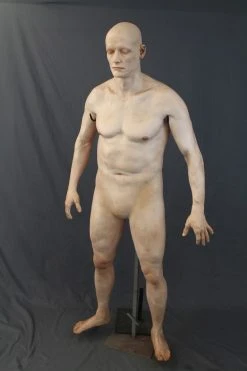 Dapper Cadaver Workshop Jack Deluxe Male Corpse Body