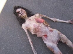 Dapper Cadaver Workshop Putrid Ana