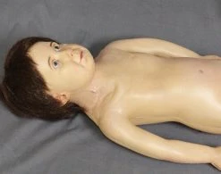 Dapper Cadaver Workshop Deluxe Toddler Prop Lifecast Prop Bodies