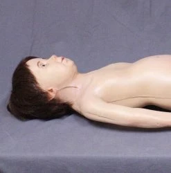 Dapper Cadaver Workshop Deluxe Toddler Prop Lifecast Prop Bodies