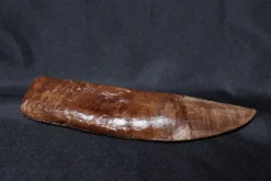 Dapper Cadaver Props Dino Stunt Tooth Rental