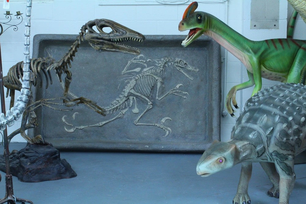 LM Treasures Raptor Skeleton Dig Box Rental 4 LM Treasures Raptor Skeleton Dig Box Rental