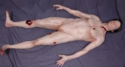 Dapper Cadaver Workshop Dura Severe Trauma Jack Body Wounded