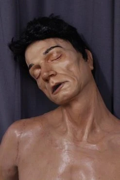 Dapper Cadaver Workshop Dura Alan Half Anatomical Dummy Dura Rubber