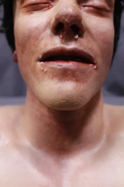 Dapper Cadaver Workshop Decayed & Mummy Dura Drown Tony Head