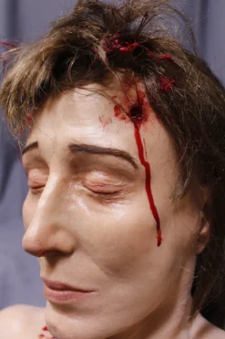 Dapper Cadaver Workshop Dura Gunshot Judith Head