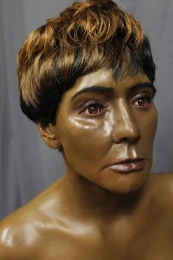 Dapper Cadaver Workshop Dura Lucy Half Anatomical Dummy