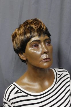 Dapper Cadaver Workshop Dura Lucy Half Anatomical Dummy