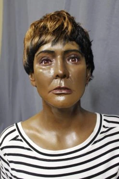 Dapper Cadaver Workshop Dura Lucy Half Anatomical Dummy