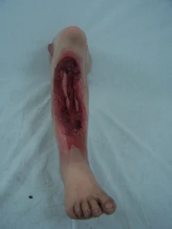 Dapper Cadaver Workshop Exposed Bone Sonia Leg Gory Body Parts