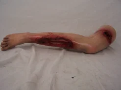 Dapper Cadaver Workshop Exposed Bone Sonia Leg Gory Body Parts