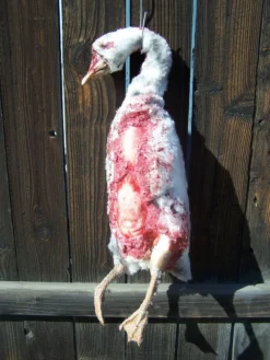 Dapper Cadaver Workshop Dead Farm Goose