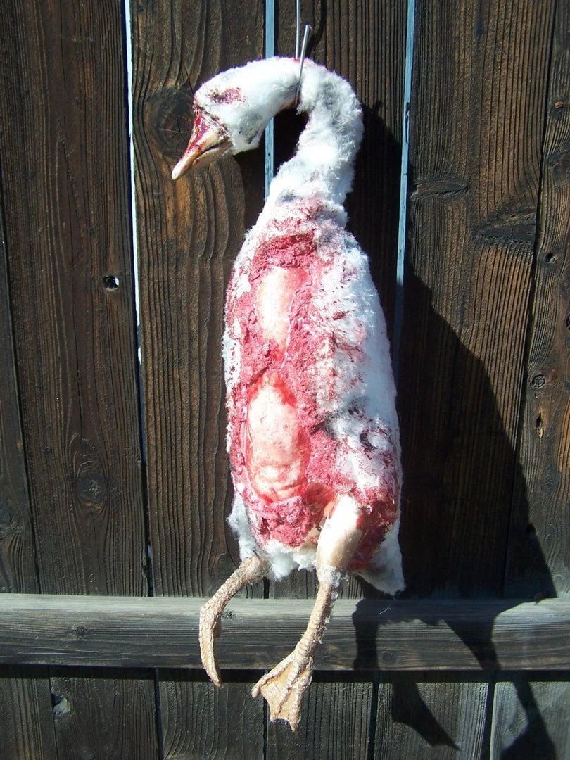 Dapper Cadaver Workshop Dead Farm Goose 1 Dapper Cadaver Workshop Dead Farm Goose