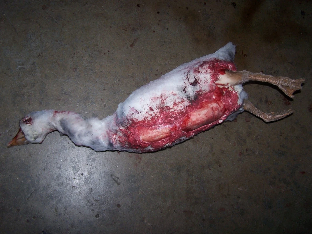 Dapper Cadaver Workshop Dead Farm Goose 3 Dapper Cadaver Workshop Dead Farm Goose