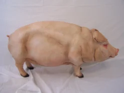 Dapper Cadaver Workshop Standing Fat Pig