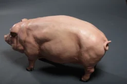 Dapper Cadaver Workshop Standing Fat Pig