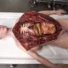 Dapper Cadaver Workshop Complete Female Autopsy Body Autopsy & Medical