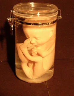 Dapper Cadaver Workshop Fetus Replica 7 Month In 64 Oz Jar