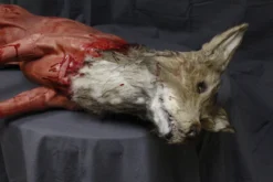 Dapper Cadaver Workshop Field Skinned Coyote