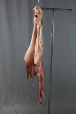 Dapper Cadaver Workshop Flayed Half Man