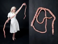 Dapper Cadaver Workshop 8ft Foam Rubber Intestines Prop Organs