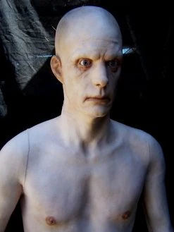 Dapper Cadaver Workshop Half Frank Torsos And Half Bodies