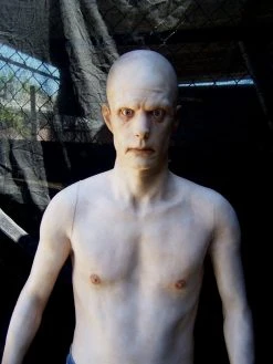 Dapper Cadaver Workshop Half Frank Torsos And Half Bodies