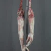 Dapper Cadaver Workshop Frozen Dangler Limb Pair