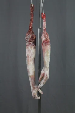 Dapper Cadaver Workshop Frozen Dangler Limb Pair