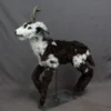 Rachael Lee Goodman Farm Animal Props Realistic Goat Prop - Special Order