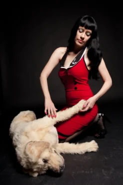 Rachael Lee Goodman Yellow Lab Dog Prop Dog & Cat Props