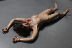 Dapper Cadaver Workshop Dura Gunshot Agatha Body