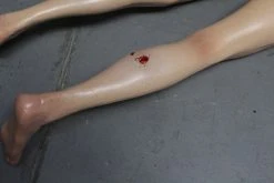 Dapper Cadaver Workshop Dura Gunshot Agatha Body