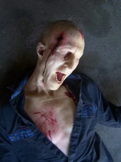 Dapper Cadaver Workshop Wounded Gunshot Martin Half Anatomical Dummy