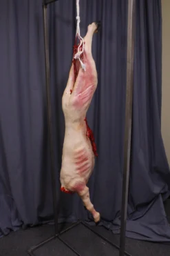Dapper Cadaver Workshop Gutted Headless Goat