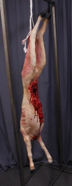 Dapper Cadaver Workshop Gutted Headless Goat