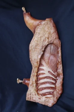 Dapper Cadaver Workshop Half Roast Lamb Butcher Shop