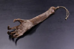 Dapper Cadaver Workshop New Haunt Props Mummified Hand Of Glory