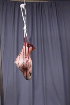 Dapper Cadaver Workshop Hanging Skinned Goat Head Gory Butcher Shop