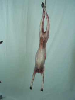 Dapper Cadaver Workshop Headless Skinned Goat Gory Butcher Shop