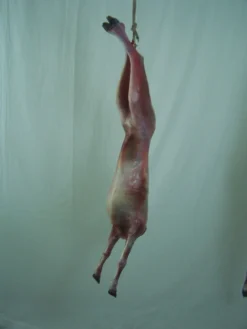 Dapper Cadaver Workshop Headless Skinned Goat Gory Butcher Shop