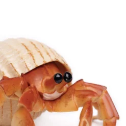 Safari LTD Realistic Rubber Hermit Crab Reptiles, Sealife & More