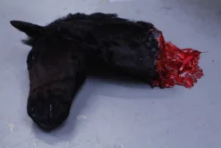 Rachael Lee Goodman Severed Horse Head Prop - Special Order