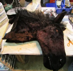 Rachael Lee Goodman Severed Horse Head Prop - Special Order