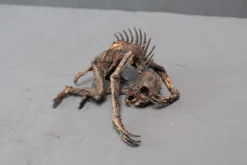 Dapper Cadaver Workshop Mummified Infant Chupacabra New Haunt Props