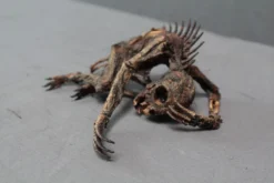 Dapper Cadaver Workshop Mummified Infant Chupacabra New Haunt Props