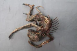 Dapper Cadaver Workshop Mummified Infant Chupacabra New Haunt Props