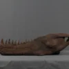 Gaston Design Stunt Tarbosaurus Jawbone Rental