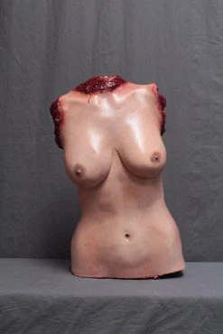 Dapper Cadaver Workshop Lucy Torso Torsos And Half Bodies